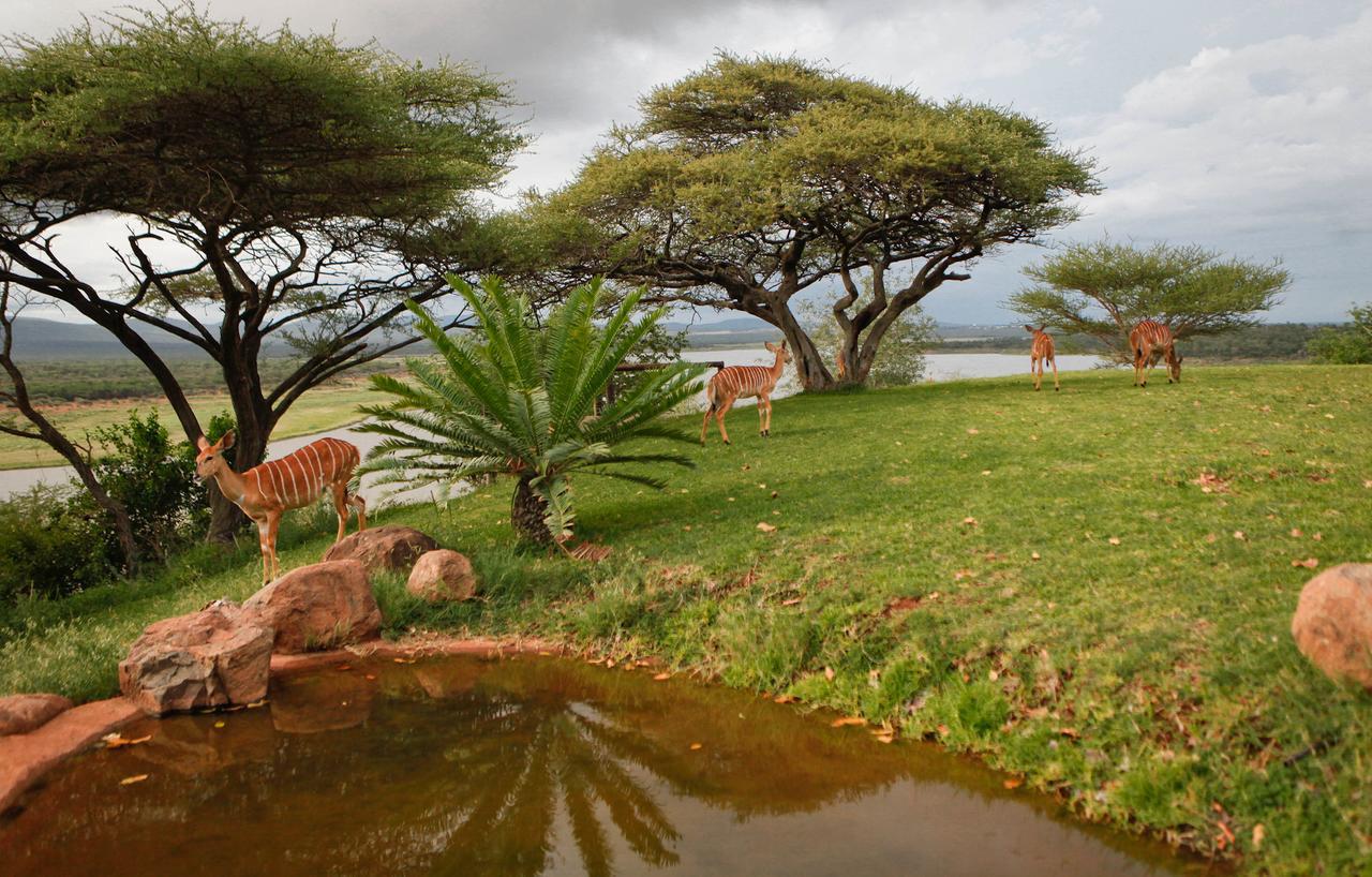 Nkwazi Lake Lodge Pongola Dış mekan fotoğraf